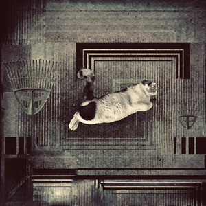 Viagem Extraordinária