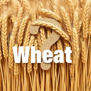 Happy Hobby Home (feat. William Walker)