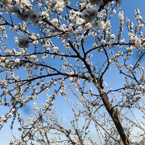 学着为自己撑伞 在没你的下雨天