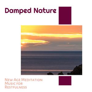 Blissful Hawk Screech