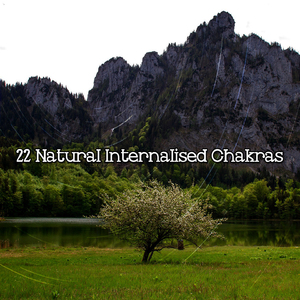 专业的自然之声