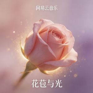 花苞与光