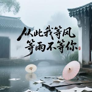 从此我等风等雨不等你