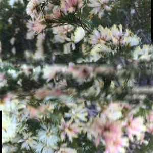 Skeletal (feat. Laurence Williams)