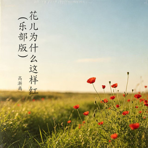 花儿为什么这样红（乐部版）
