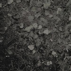 mind filled with thoughts