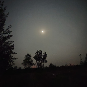 泪是无色的血液