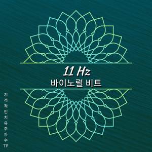11 Hz - 진정한 반복 가능한 음악