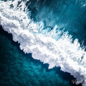 Calming Ocean Ambience for Yoga and Wellness