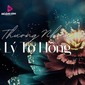 Vó Ngựa Trên Đồi Cỏ Non