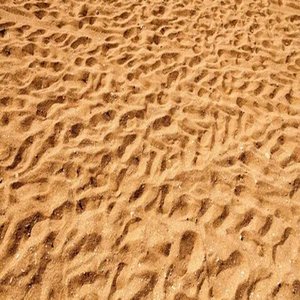 Beside Oneself with Joy Evening