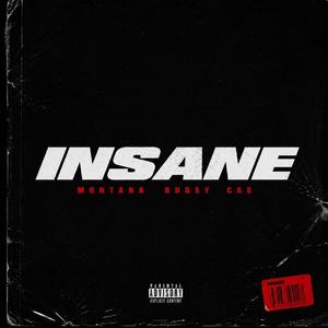 INSANE (SK 2027)