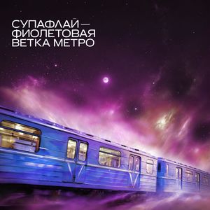 Фиолетовая ветка метро