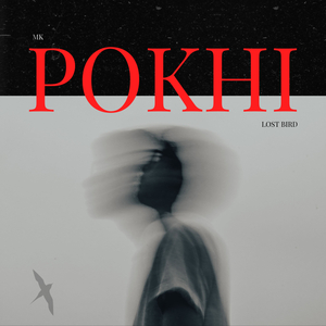Pokhi