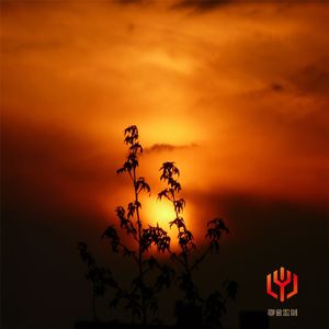 小夜的安抚旋律（哄睡钢琴曲）