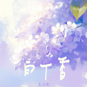 白丁香