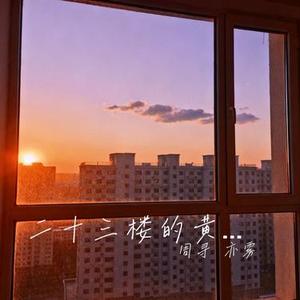 二十三楼的黄昏