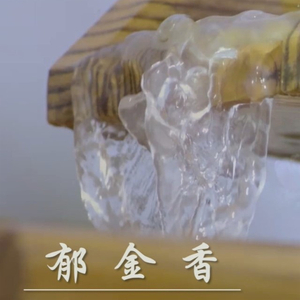 郁金香