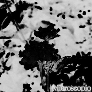 Microscopio