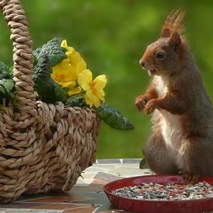 到底还能行吗 (3)