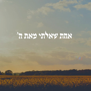 אחת שאלתי מאת ה (Acoustic Version)