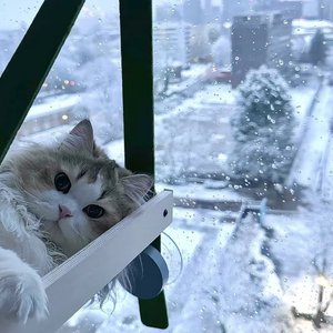 Cry for me+红色高跟鞋