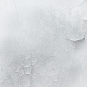 Deodara (Diego V Navarro's Version)