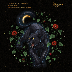 Shadows (Soul Engineers Extended Remix)