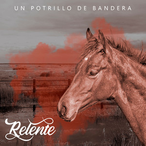 Un Potrillo de Bandera