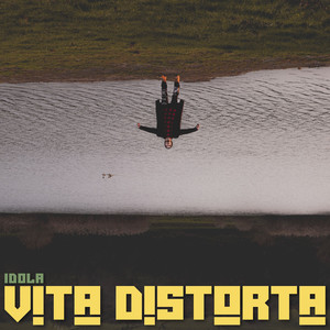 Vita distorta