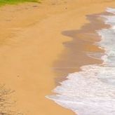 我们来到了海洋 伴奏