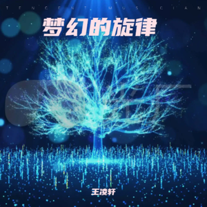 梦幻的旋律