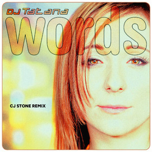 Words (CJ Stone Instrumental Remix)