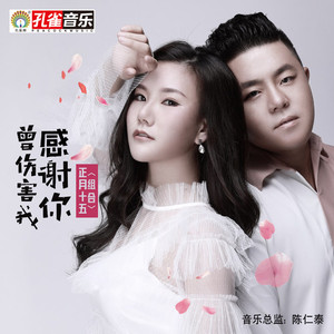 感谢你曾伤害我 (伴奏)