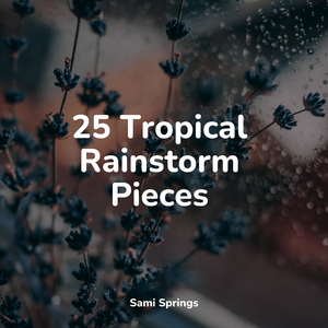 Rainy Woodland Ambience