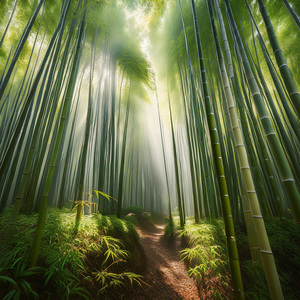 Crossing The Bridge Of Time