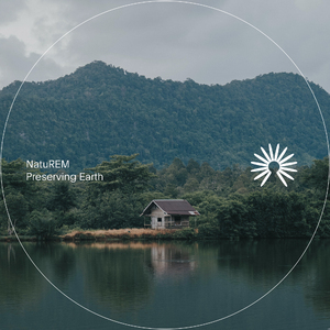 Running River and Cicadas (Nature)