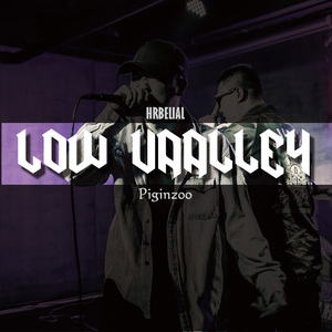 低谷 （Prod. by Piginzoo）