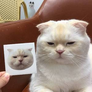 垂头 prod by bbbluelee