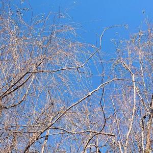 世界美好与你环环相扣