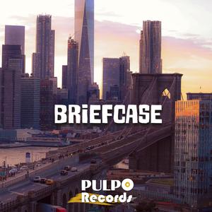Briefcase