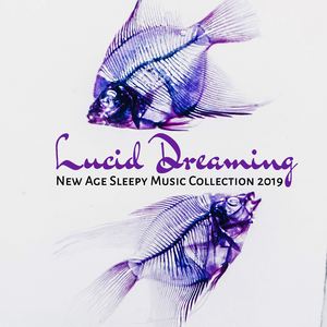 Lucid Dreaming