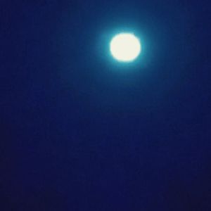 perrty  moon