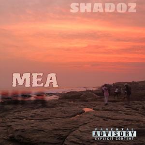 MEA