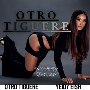 OTRO TIGUERE