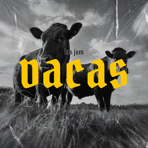 Vacas