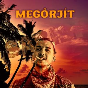 Megőrjít