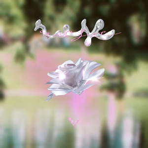 蔷薇花终将盛开