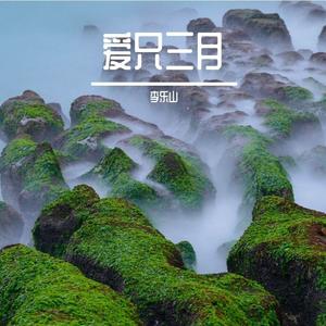 十九岁的玫瑰花