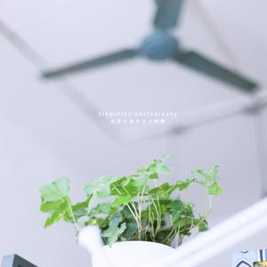 这就是爱吗